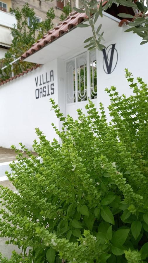 Oasis *